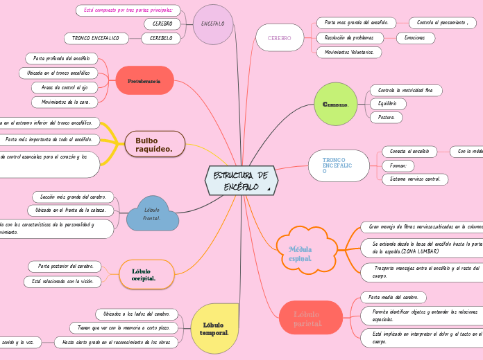 Estructura De EncÉfalo Mind Map